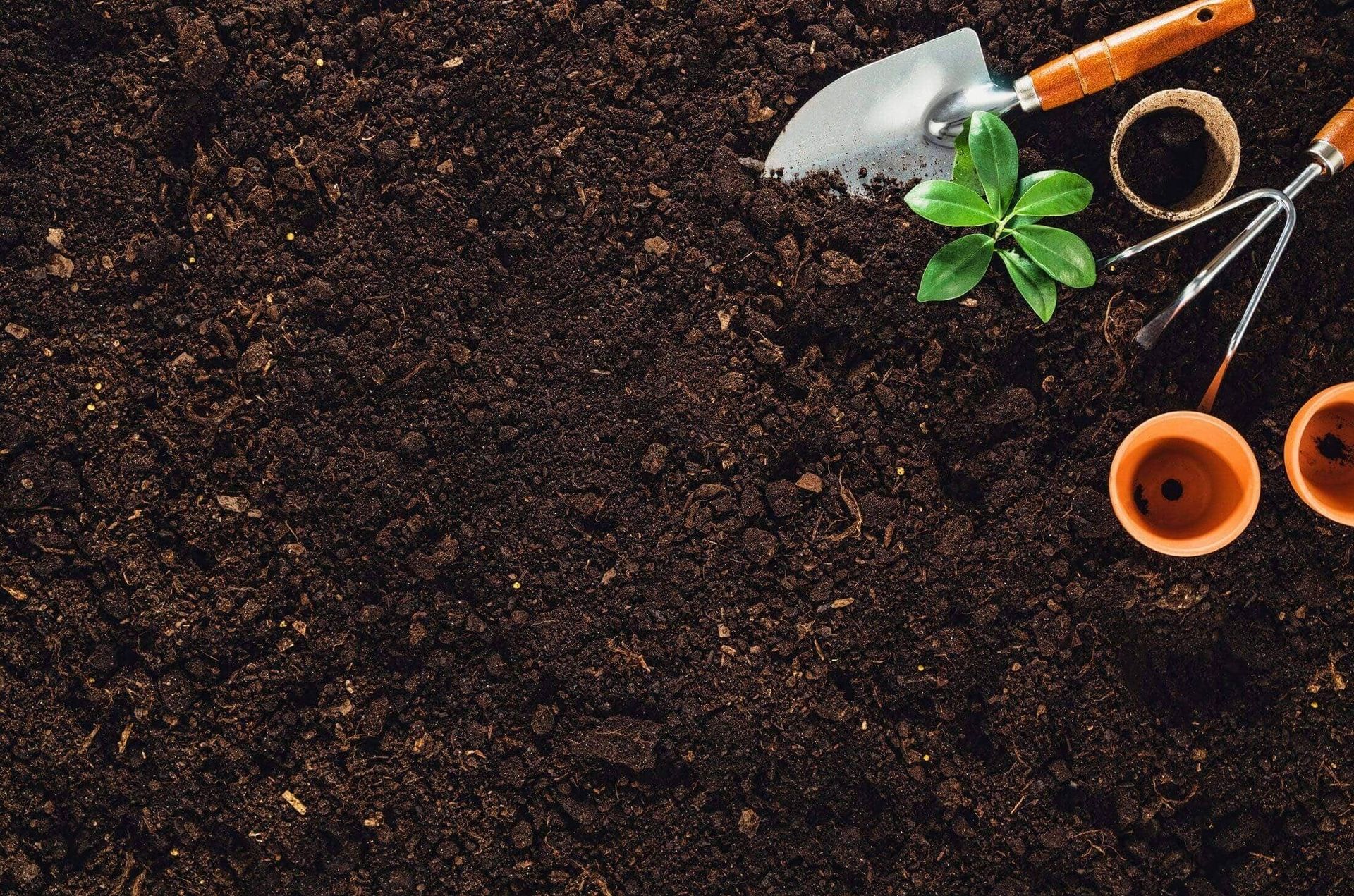 Eine Ansammlung von Gartenwerkzeugen und Erde vor einem dunklen Hintergrund, die die Gartenarbeit thematisiert